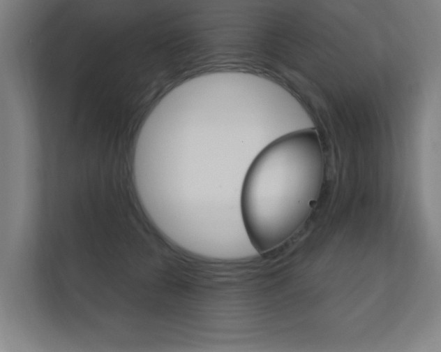 X0000112360560200908131236
