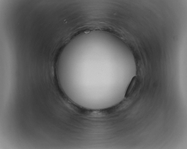 X0000112360562200908131236
