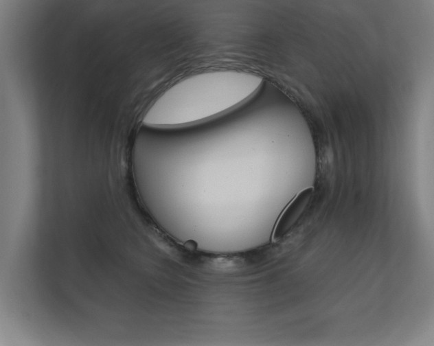 X0000112360566200908131237