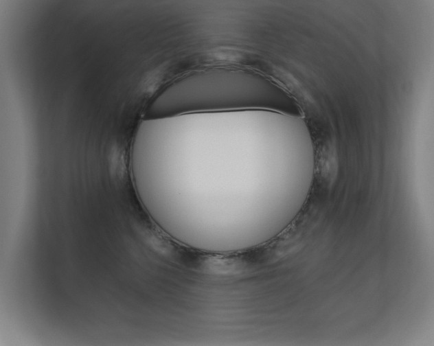 X0000112360568200908131237