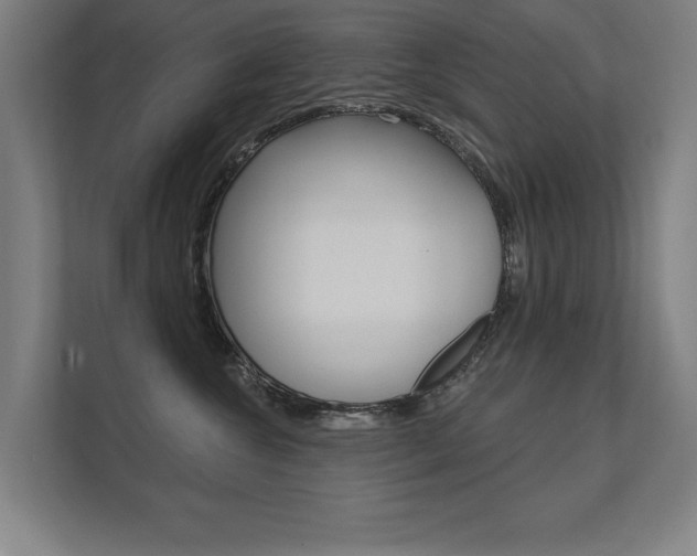 X0000112360572200908131237