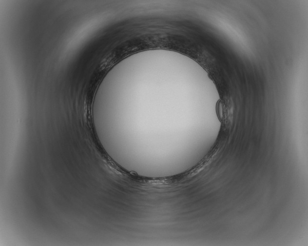 X0000112360574200908131237