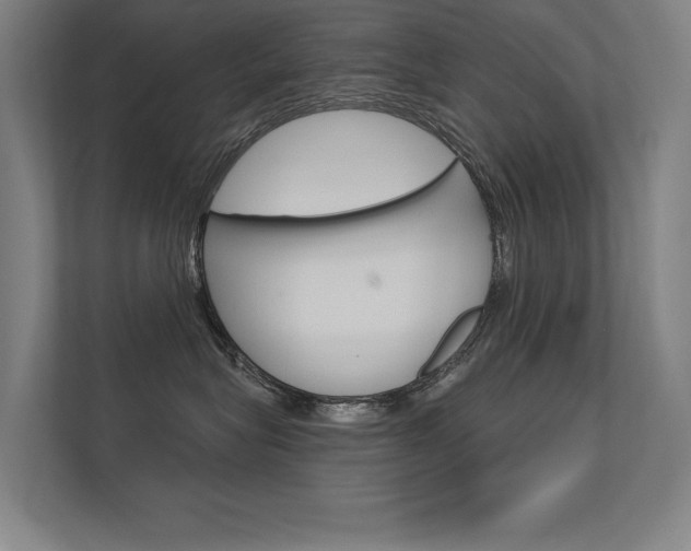 X0000112360575200908131237