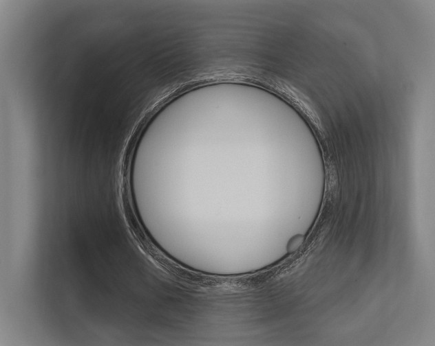 X0000112360578200908131236