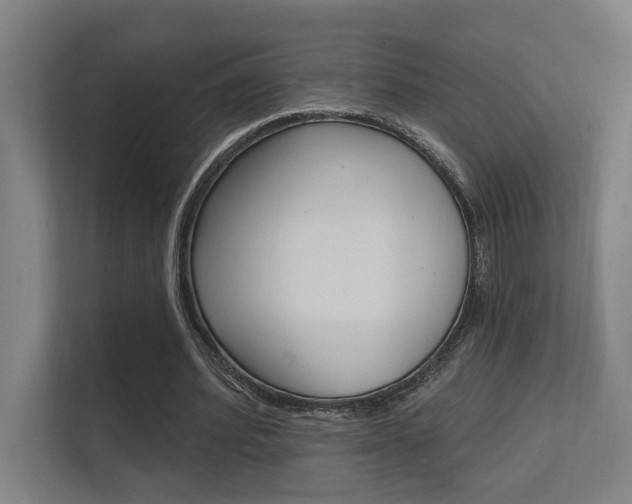 X0000112360580200908131236