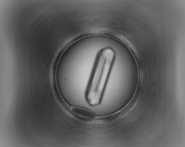 X0000112360581200908131236
