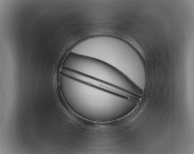 X0000112360585200908131236