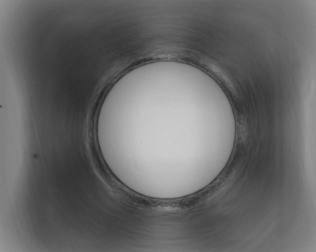 X0000112360586200908131236