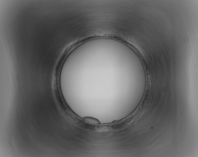 X0000112360587200908131236