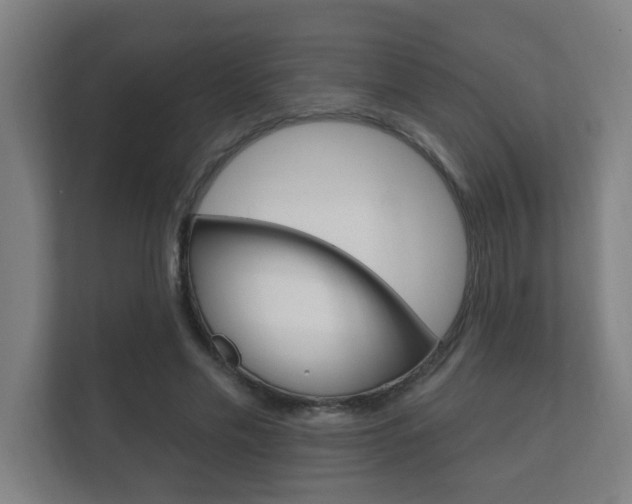 X0000112360589200908131236