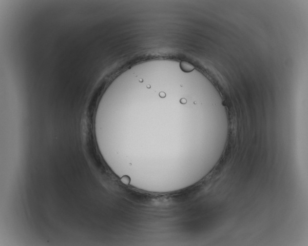 X0000112360591200908131236