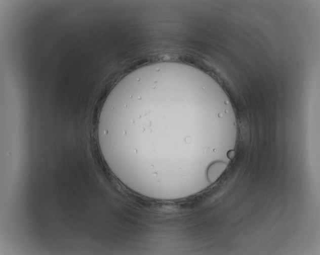 X0000112360594200908131236