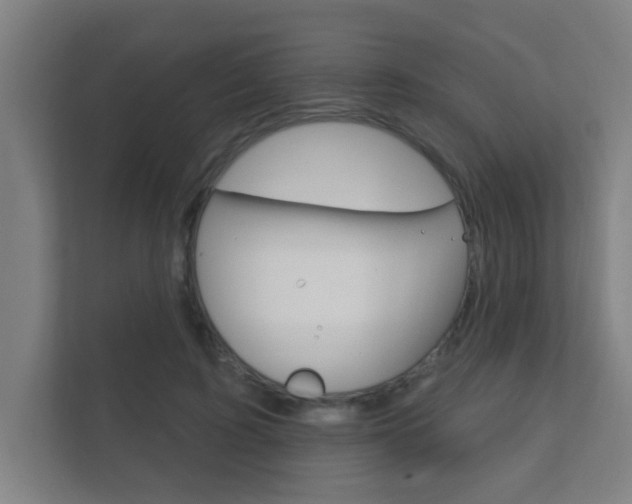 X0000112360595200908131236