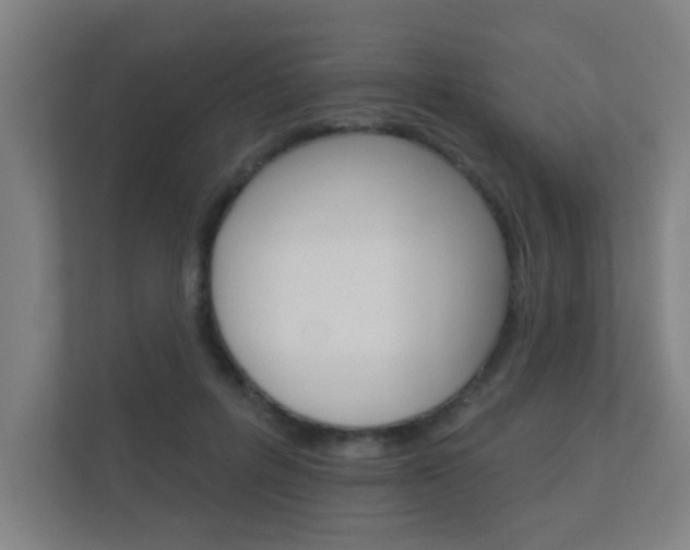X0000112360600200908131236