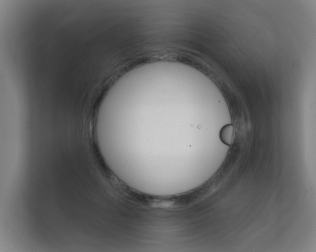 X0000112360602200908131236