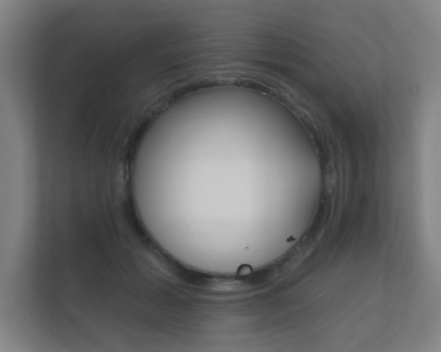X0000112360605200908131236