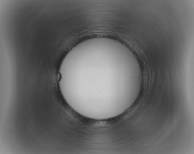 X0000112360609200908131236