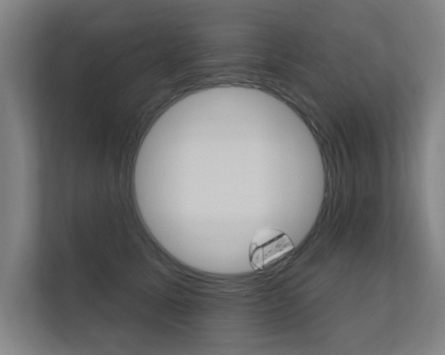 X0000112360611200908131236