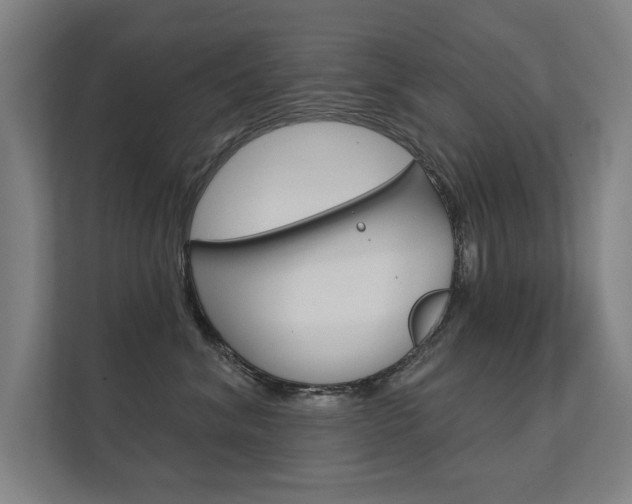 X0000112360620200908131235