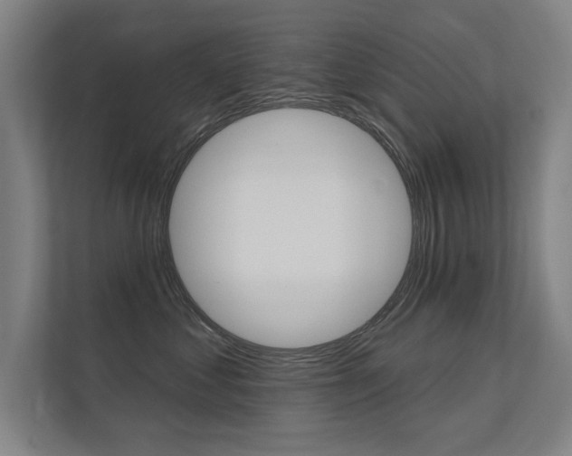X0000112360621200908131235