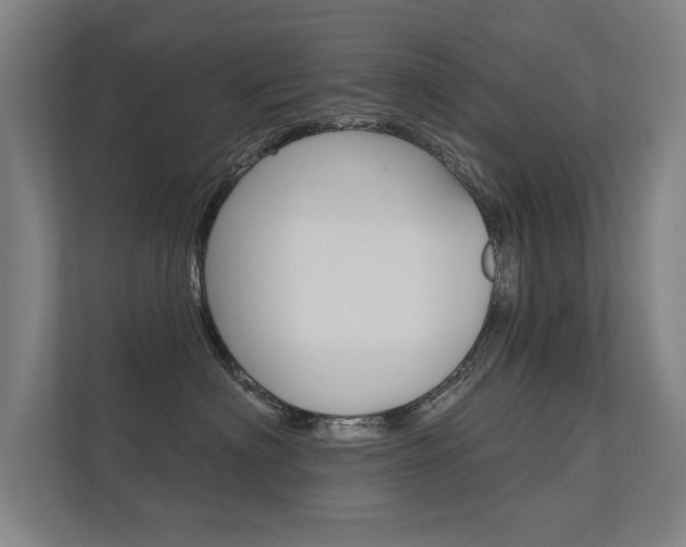 X0000112360622200908131235