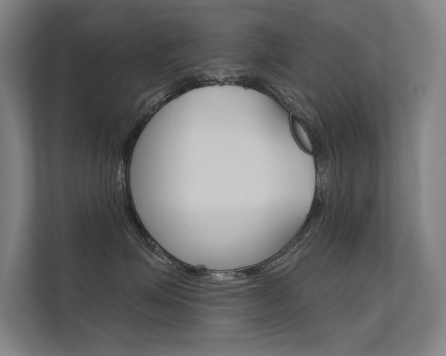 X0000112360623200908131235