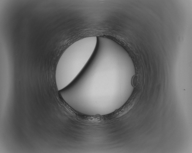 X0000112360624200908131235