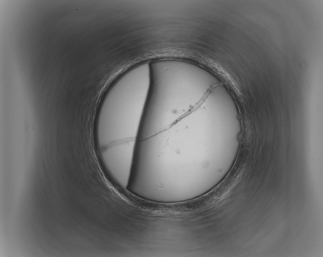 X0000112360625200908131235