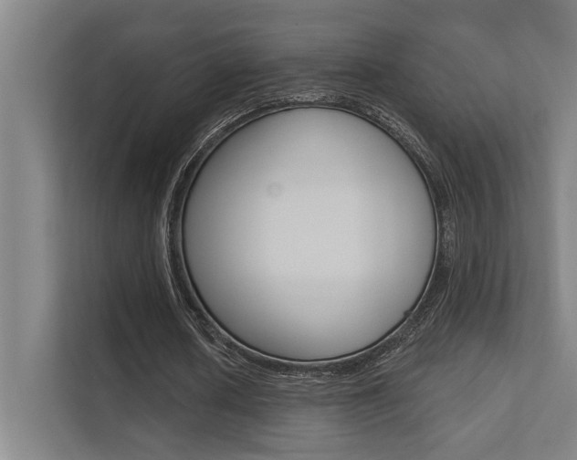 X0000112360626200908131235