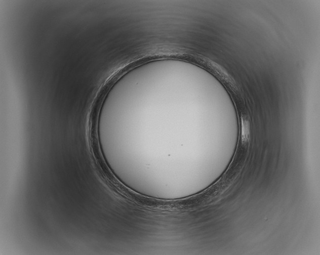 X0000112360627200908131235