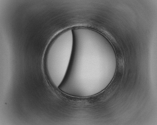X0000112360628200908131235
