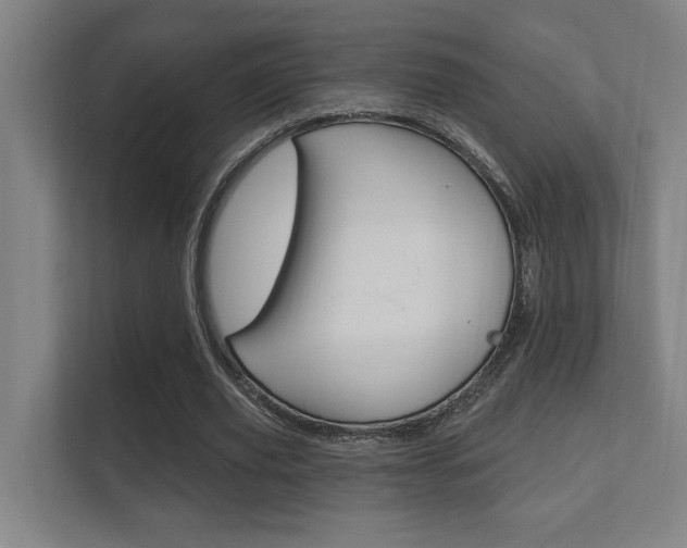X0000112360629200908131235