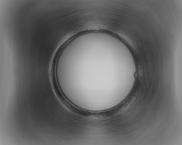 X0000112360630200908131235