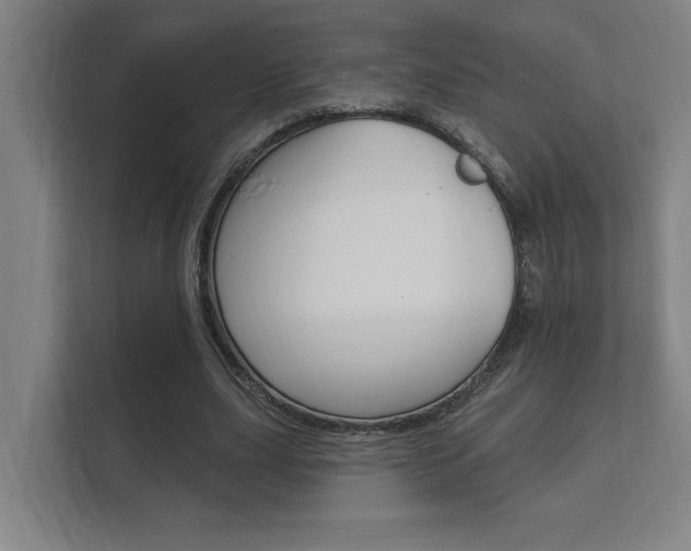 X0000112360631200908131235