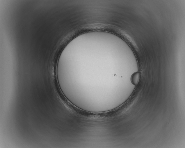 X0000112360633200908131235