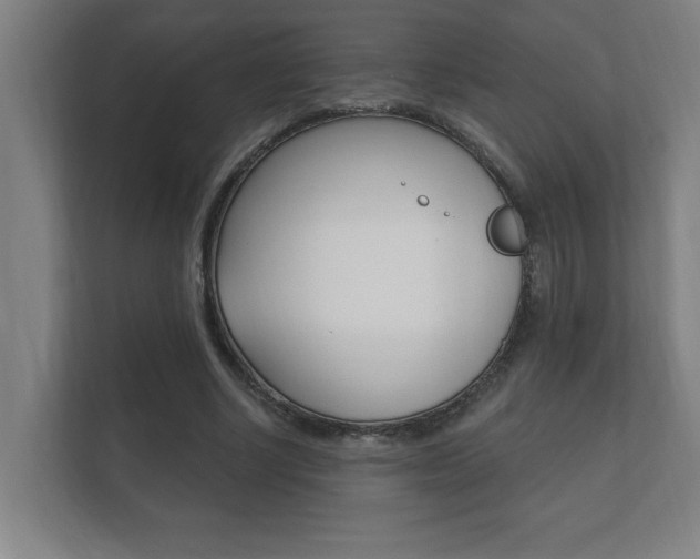 X0000112360634200908131235