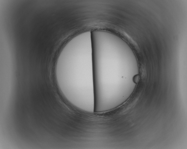 X0000112360637200908131235