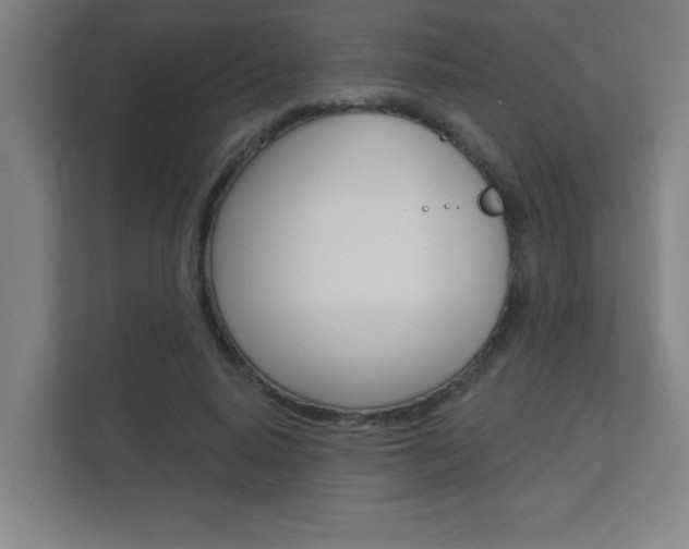 X0000112360640200908131235