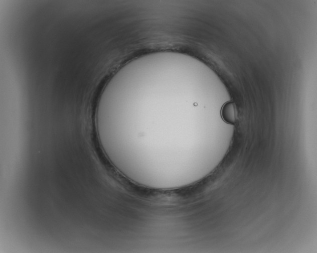 X0000112360642200908131235