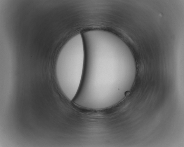 X0000112360643200908131235