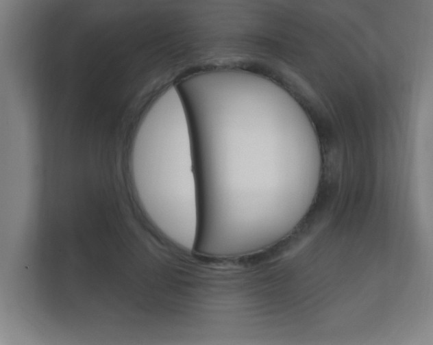X0000112360644200908131235