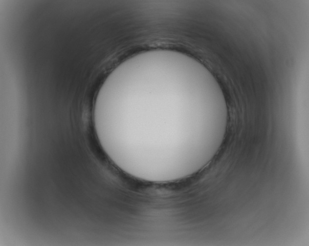 X0000112360648200908131235