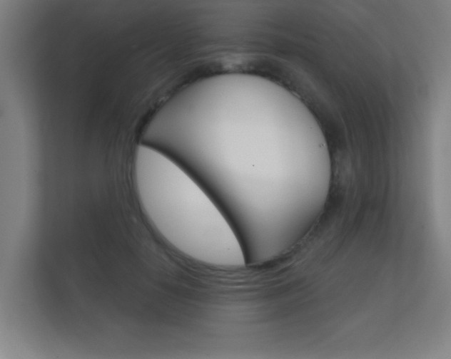 X0000112360650200908131235