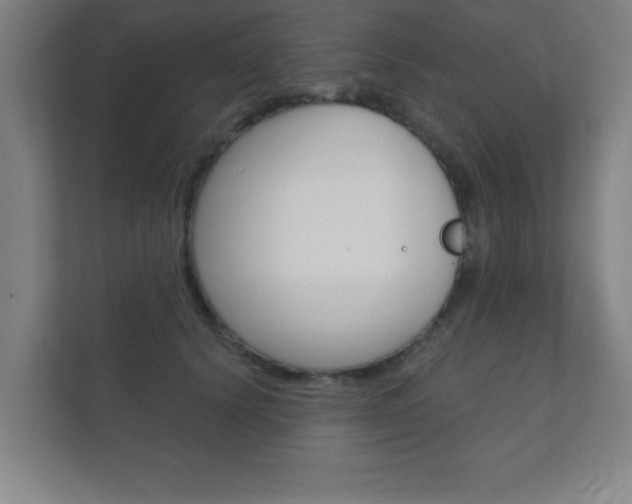 X0000112360656200908131235