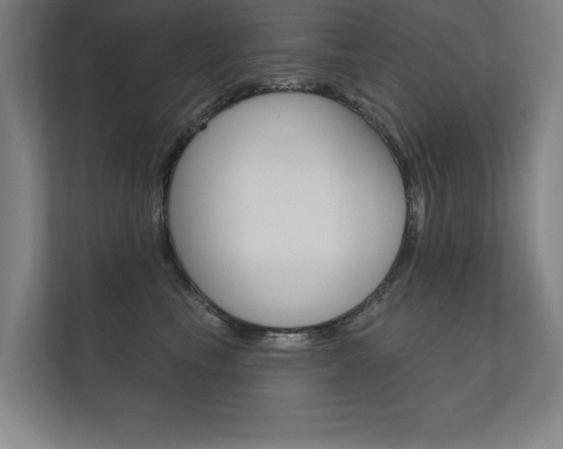 X0000112360665200908131235