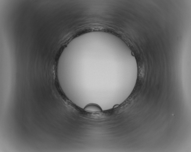 X0000112360666200908131235
