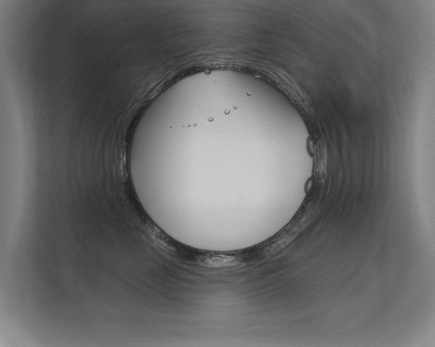 X0000112360669200908131235