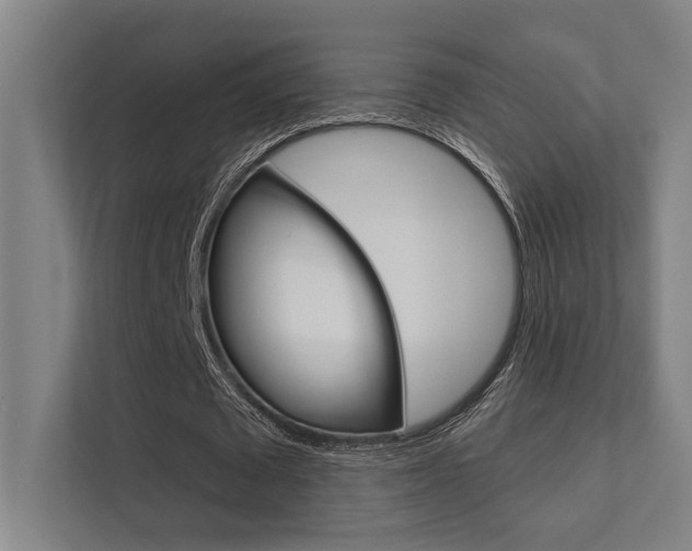 X0000112360673200908131235