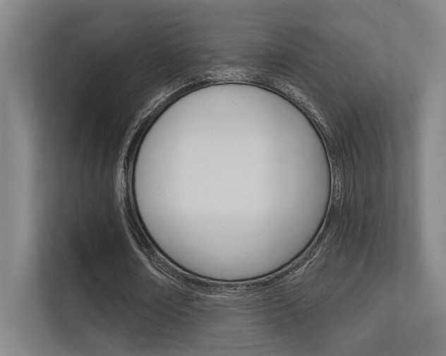 X0000112360674200908131235