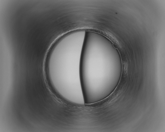 X0000112360676200908131235